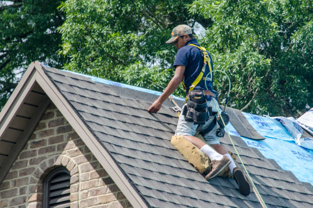 Best Gutter Installation and Roofing  in Siesta Shores, TX